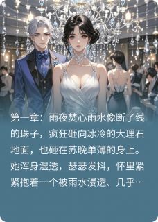 《焚舟》陆沉舟苏晚林薇薇大结局免费试读