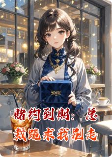 《赌约到期：总裁跪求我别走》小说章节列表免费试读 林辰陈默小说全文