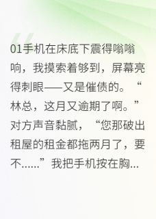 破产CEO的温婉保姆苏晚照周明远陈默 by伤心小呆完整在线阅读
