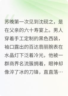 苏晚沈砚之小说阅读 苏晚沈砚之小说碎玉投澜