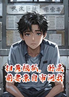 《扫黄被抓，卧底前妻亲自审问我》小说完结版在线阅读 林岚陈默小说全文