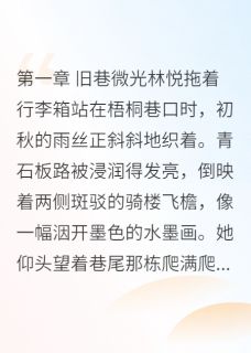碎影沉璧林悦苏然小说全文章节目录免费试读