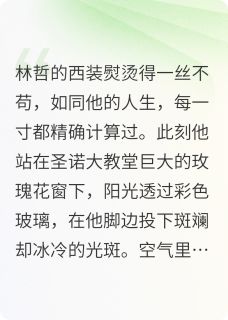 林哲苏晚小说 林哲苏晚最新章节免费阅读