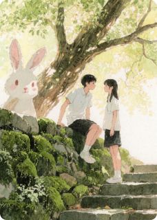 青苔石阶，万物生长林溪陈砚小说全文章节阅读 青苔石阶，万物生长免费精彩章节