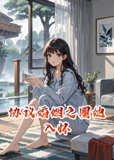 精品小说《协议婚姻之圈她入怀》苏晚陆沉已完结版全文章节阅读