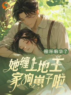 《失忆后，我缠错人了怎么办》小说全文精彩阅读 司月月谢逍小说阅读