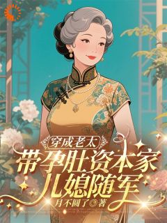 《穿成老太，带孕肚资本家儿媳随军》鹿妙沈海兰黎彰章节列表在线试读