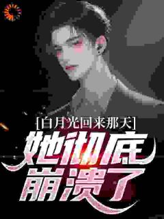 《白月光回来那天，她彻底崩溃了​​》叶芷萱林弦章节列表免费阅读