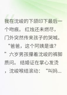 误嫁私生子by培和 沈峻周潇小说全本