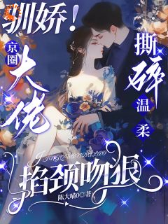 陈盏周京聿阅读_陈盏周京聿《京圈大佬的强制爱：三次帮忙要我偿》