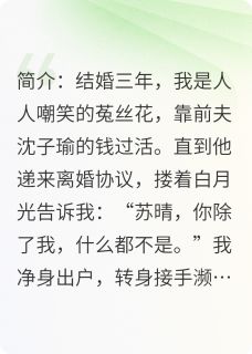 《被甩后，我成了他高攀不起的大佬》小说大结局在线阅读 沈子瑜林薇薇小说全文