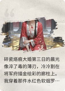 《血色嫁衣，碎瓷烙痕》小说完结版精彩试读 苏婉清裴铮小说阅读