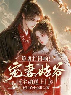 算盘打得响！宠妻姑爷主动送上门小说 算盘打得响！宠妻姑爷主动送上门叶辞书皇甫少御在线阅读