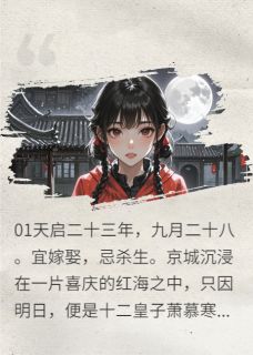 精品小说《大婚前夜，我把仇人做成人皮灯笼》苏无离萧慕寒苏楚行已完结版全文章节阅读