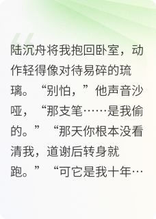 我藏了十年的光苏晚陆沉舟目录 我藏了十年的光小说阅读