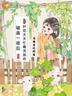 《破庙一夜后，奸臣天天忙着洗尿布》小说完结版免费阅读 宋刀刀江寒钊小说阅读