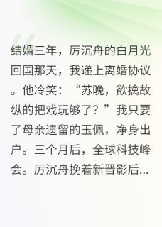 苏晚厉沉舟林薇薇小说 《离婚？总裁他跪求我复婚！！》小说全文精彩阅读