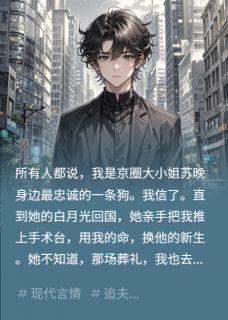 《我死后，她抱着骨灰盒疯了》小说章节列表在线阅读 苏晚顾言非林澈小说全文
