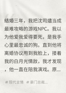 《离婚夜，我撕碎了总裁的浴袍》小说章节列表在线阅读 沈司燼苏柔小说阅读
