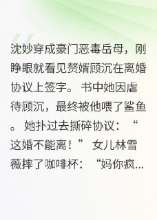 穿书后，我追着黑化赘婿求复婚精彩章节免费试读 沈妙顾沉林雪薇小说结局无删节