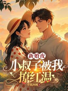 《新婚夜，小叔子被我撩红温》苏荷谢淮序徐翠花全文精彩章节列表试读