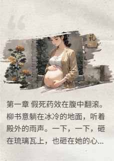 渣了病娇皇帝后跑路柳书意赢夜by醉倚河桥xy全文免费阅读