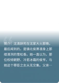 寒江渡雪主角沈清辞萧凛全文精彩内容在线试读