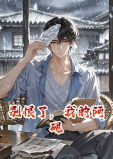 《别恨了，我的阿砚》小说阅读 沈砚陆时衍小说