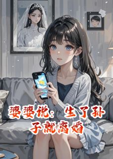 婆婆说：生了孙子就离婚全文免费阅读(苏晚林浩) 完结版