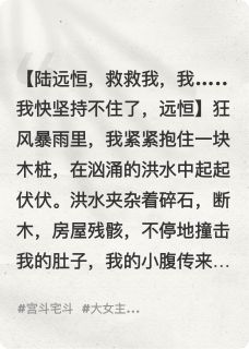 《凤塌之上换乾坤》小说全文精彩试读 方姨娘赵敏陆远恒小说阅读
