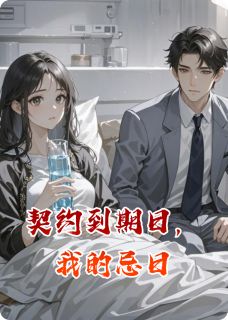 契约到期日，我的忌日陆沉舟苏晚 陆沉舟苏晚小说阅读