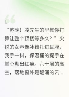 《当灰姑娘遇见真命天子》小说章节列表精彩阅读 凌辰秦峰张启山小说全文