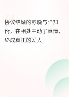 《藏在条款里的爱》苏晚陆知衍章节在线阅读