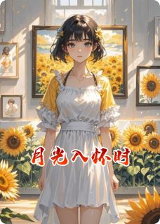 《月光入怀时》全文及大结局精彩试读 顾时砚苏清圆小说