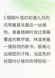 夏夜晚风的约定完整版 林溪江熠全章节阅读
