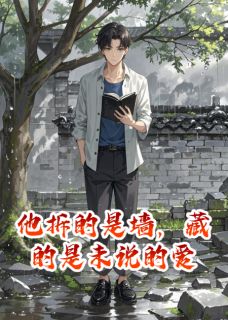 《他拆的是墙，藏的是未说的爱》小说大结局免费试读 沈砚青陆知珩小说阅读