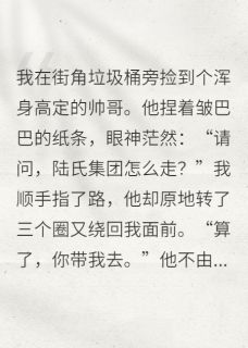 捡个霸总是路痴陆琛林晚 by拉克夏塔完整在线阅读