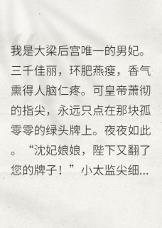 《后宫唯一的男妃，皇上天天翻我牌》小说全文在线阅读 萧彻柳如烟小说全文