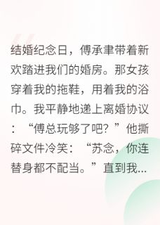 精品《念念再无归期》小说在线阅读 苏念傅承聿小说全集无删减全文