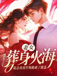 妻女葬身火海，陆总夜夜忏悔跪破了膝盖精彩章节小说免费试读地址 主角沈琉璃陆陨深