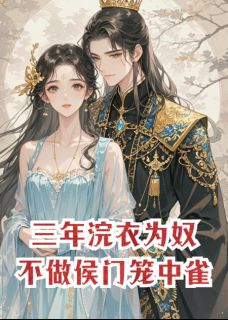 最新《三年浣衣为奴，不做侯门笼中雀》林鸢念念小说在线阅读全文章节