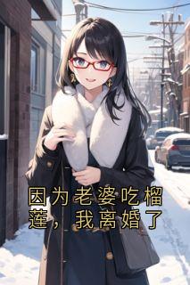 因为老婆吃榴莲，我离婚了许洛伊季淮小说精彩章节篇免费试读