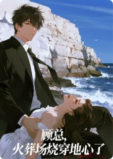 顾总，火葬场烧穿地心了免费试读 苏晚顾承烨是什么小说