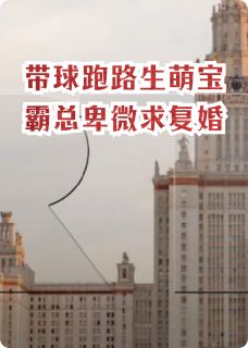 《带球跑生天才萌宝霸总卑微求复婚》小说免费阅读 《带球跑生天才萌宝霸总卑微求复婚》最新章节目录