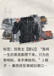 《长夜未明，黎明将至》免费阅读 沈砚江聿在线阅读