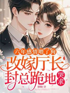 姜纾音沈代霖by脚脚 六年感情喂了狗，改嫁厅长，封总跪地哭求小说完整篇在线阅读