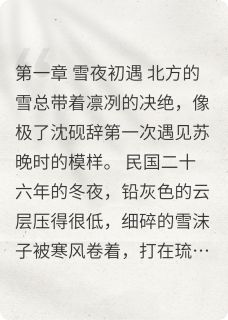 碎圆缺苏晚沈砚辞免费在线免费试读