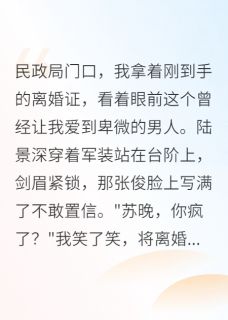 《重生后，我让军区首长净身出户》小说大结局在线阅读 陆景深苏晚小说全文