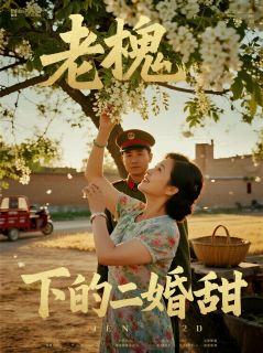 小满林月娥大结局在线阅读 老槐树下的二婚甜免费阅读