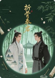 好书推荐《折骨奉君》叶怀瑾叶青缇全文在线阅读